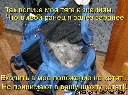 Котоматрица: Так велика моя тяга к знаниям, Что в твой ранец я залез заранее. Входить в мое положение не хотят... Не принимают в вашу школу котят!!