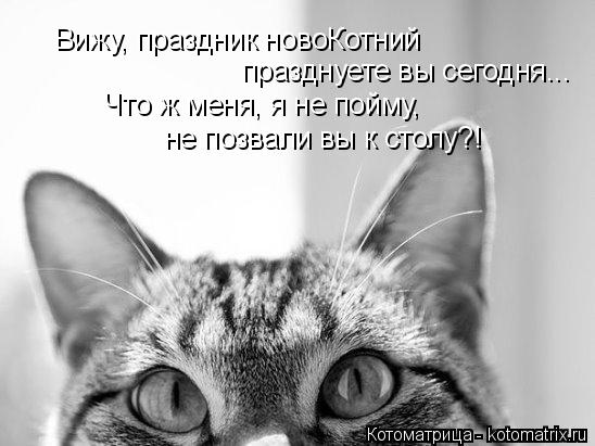 Котоматрица: Вижу, праздник новоКотний празднуете вы сегодня... Что ж меня, я не пойму, не позвали вы к столу?!