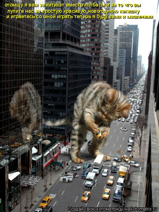 Котоматрица: отомщу я вам за китикэт вместо колбасы и за то что вы лупите нас за простую красивую новогоднюю какашку и играетесь со мной играть теперь я 