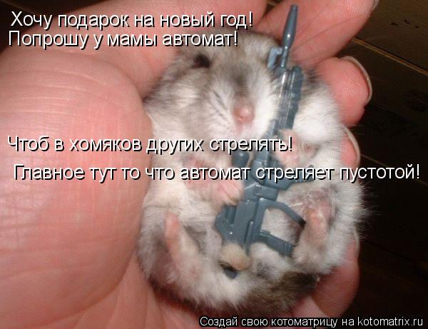 Котоматрица: Хочу подарок на новый год! Попрошу у мамы автомат! Чтоб в хомяков других стрелять! Главное тут то что автомат стреляет пустотой!