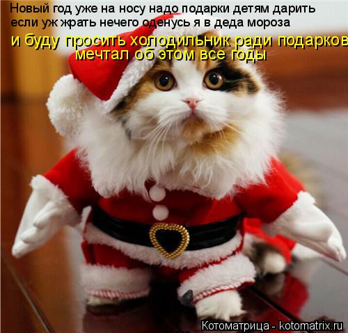 Котоматрица: Новый год уже на носу надо подарки детям дарить если уж жрать нечего оденусь я в деда мороза и буду просить холодильник ради подарков мечта