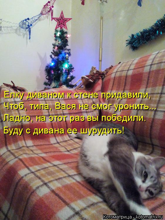 Котоматрица: Елку диваном к стене придавили, Чтоб, типа, Вася не смог уронить... Ладно, на этот раз вы победили. Буду с дивана ее шурудить!