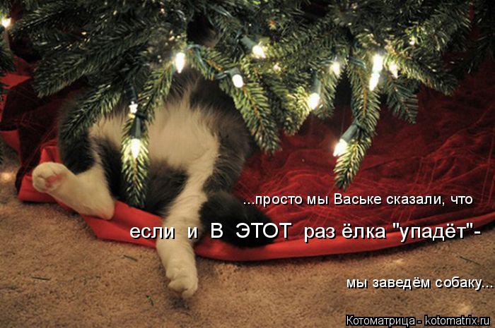 Котоматрица: ...просто мы Ваське сказали, что если  и  В  ЭТОТ  раз ёлка "упадёт"-  мы заведём собаку...