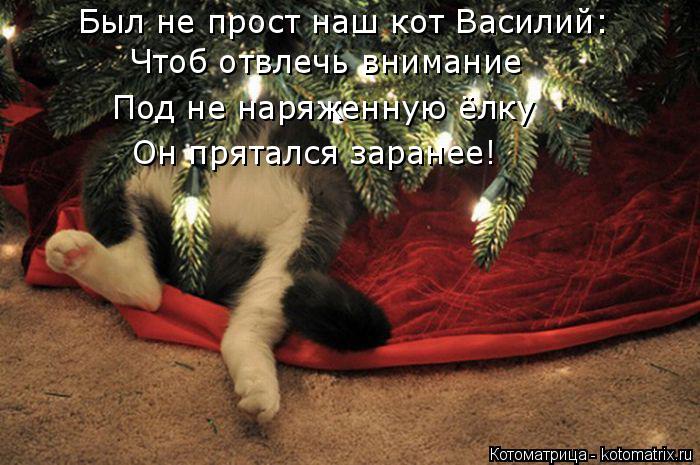 Котоматрица: Был не прост наш кот Василий: Чтоб отвлечь внимание Под не наряженную ёлку Он прятался заранее!