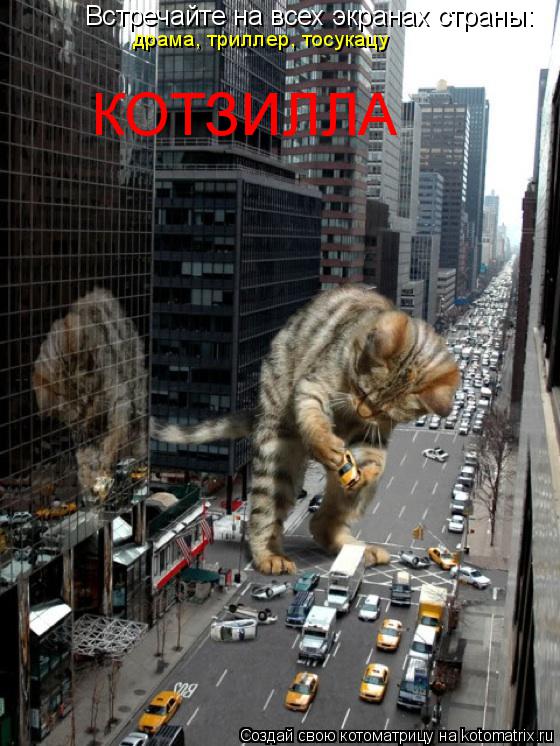 Котоматрица: Встречайте на всех экранах страны: драма, триллер, тосукацу КОТЗИЛЛА