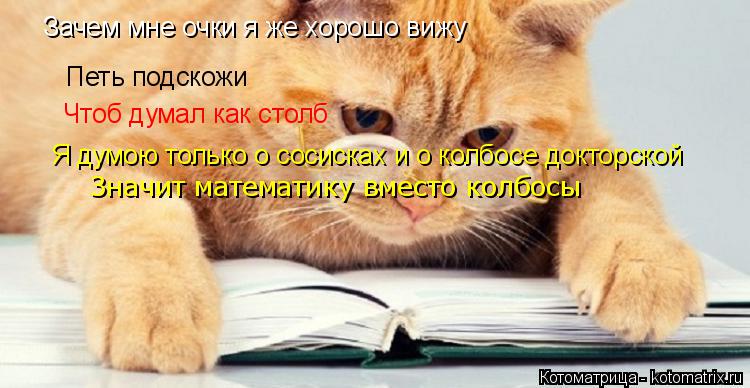 Котоматрица: Зачем мне очки я же хорошо вижу Петь подскожи Чтоб думал как столб Я думою только о сосисках и о колбосе докторской Значит математику вмест
