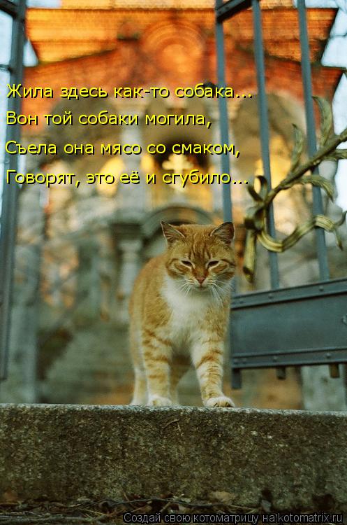 Жила здесь как-то собака... Съела она мясо со смаком, Вон той собаки могила, Говорят, это её и сгубил... Котоматрица: Жила здесь как-то собака... Съела она мясо со смаком, Вон той собаки могила, Говорят, это её и сгубило...