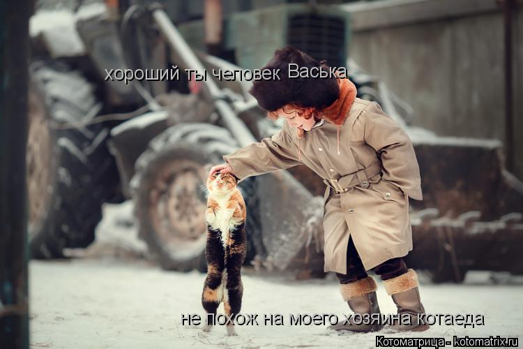 Котоматрица: хороший ты человек Васька не похож на моего хозяина котаеда