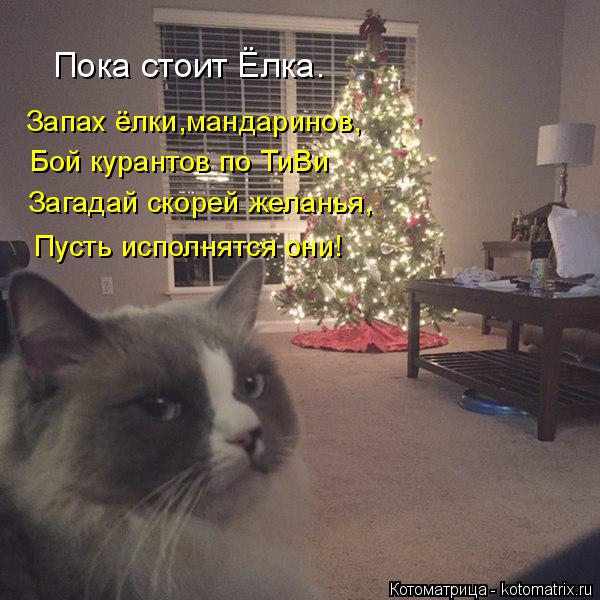 Котоматрица: Пока стоит Ёлка. Запах ёлки,мандаринов, Бой курантов по ТиВи Загадай скорей желанья, Пусть исполнятся они!