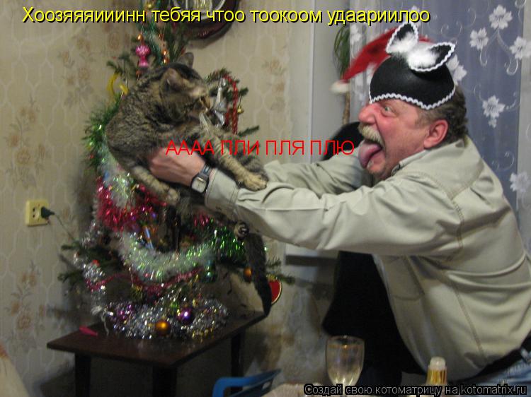Котоматрица: Хоозяяяииинн тебяя чтоо тоокоом удаариилоо АААА ПЛИ ПЛЯ ПЛЮ