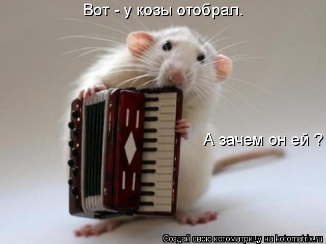 Котоматрица: Вот - у козы отобрал. А зачем он ей ?