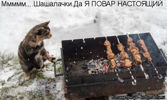 Котоматрица: Ммммм....Шашалачки.Да Я ПОВАР НАСТОЯЩИЙ