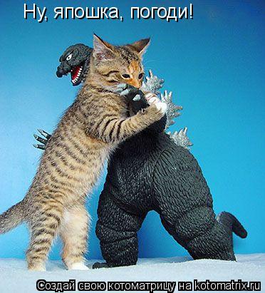 Котоматрица: Ну, япошка, погоди!