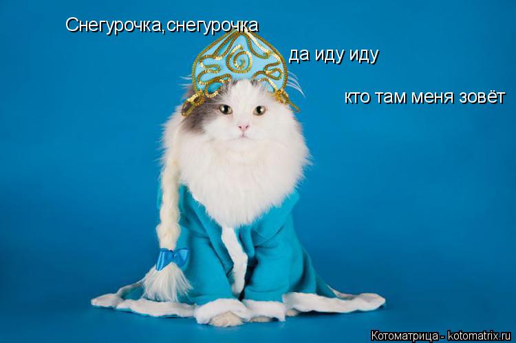 Котоматрица: Снегурочка,снегурочка  да иду иду кто там меня зовёт