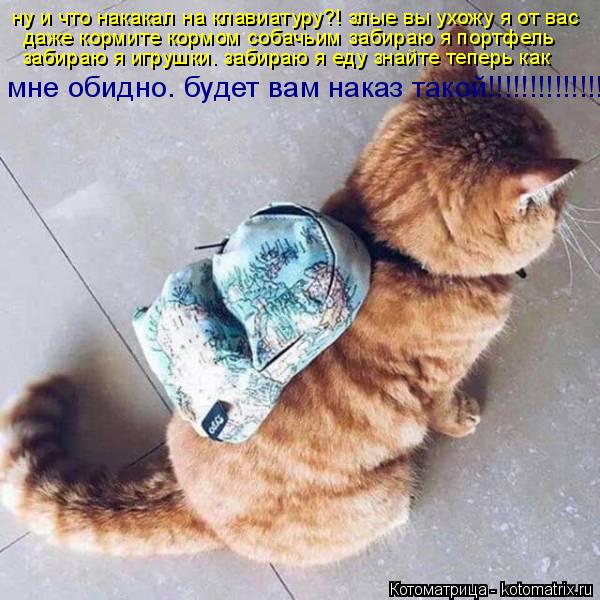 ну и что накакал на клавиатуру?! злые вы ухожу я от вас даже кормите кормом собачьим забираю я портфе... Котоматрица: ну и что накакал на клавиатуру?! злые вы ухожу я от вас даже кормите кормом собачьим забираю я портфель забираю я игрушки. забираю я еду знай