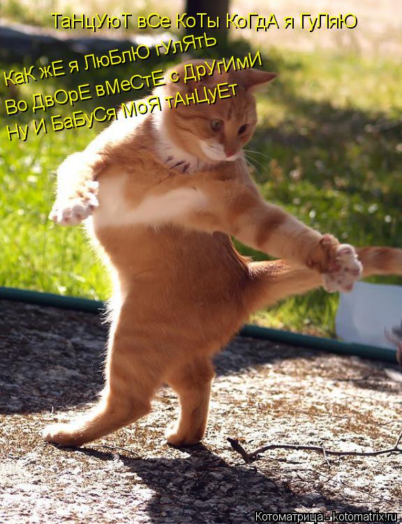 Котоматрица: ТаНцУюТ вСе КоТы КоГдА я ГуЛяЮ КаК жЕ я ЛюБлЮ гУлЯтЬ Во ДвОрЕ вМеСтЕ с ДрУгИмИ Ну И БаБуСя МоЯ тАнЦуЕт