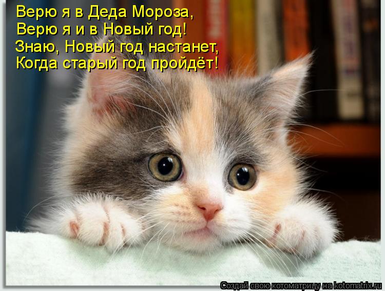 Верю я в Деда Мороза, Верю я и в Новый год! Знаю, Новый год настанет, Когда старый год пройдёт!... Котоматрица: Верю я в Деда Мороза, Верю я и в Новый год! Знаю, Новый год настанет, Когда старый год пройдёт!