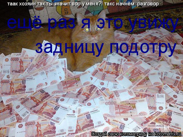 Котоматрица: таак хозяин так ты значит вор у меня?! такс начнём  разговор ещё раз я это увижу задницу подотру