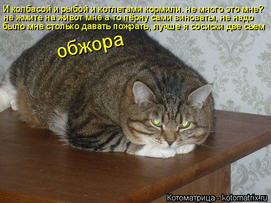 Котоматрица: И колбасой и рыбой и котлетами кормили. не много это мне? не жмите на живот мне а то пёрну сами виноваты, не надо было мне столько давать пожр