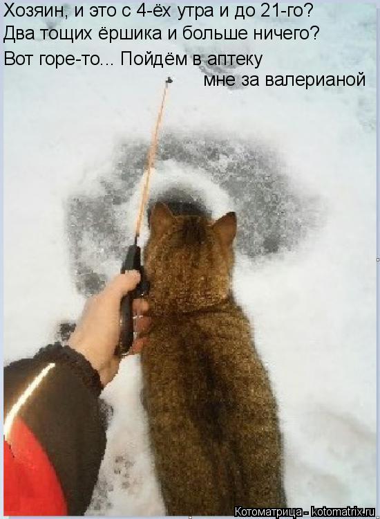 Котоматрица: Хозяин, и это с 4-ёх утра и до 21-го? Два тощих ёршика и больше ничего? Вот горе-то... Пойдём в аптеку мне за валерианой