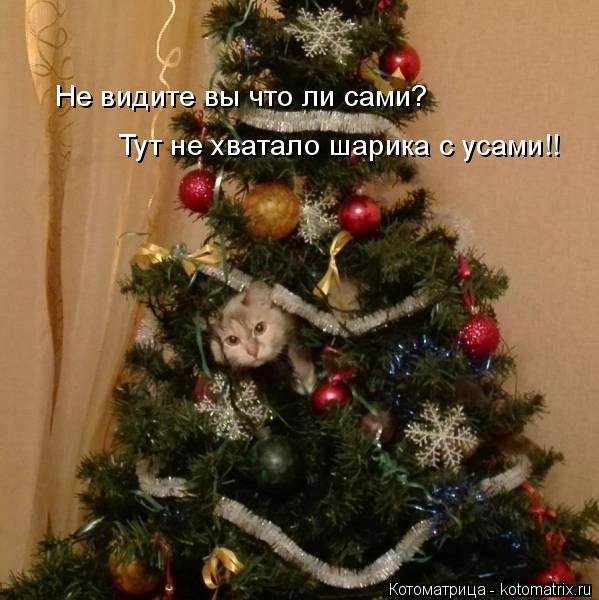 Котоматрица: Не видите вы что ли сами? Тут не хватало шарика с усами!!