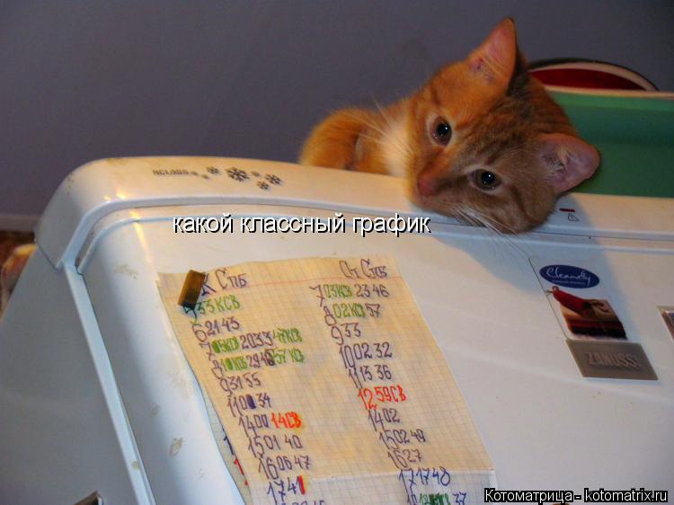 Котоматрица: какой классный график