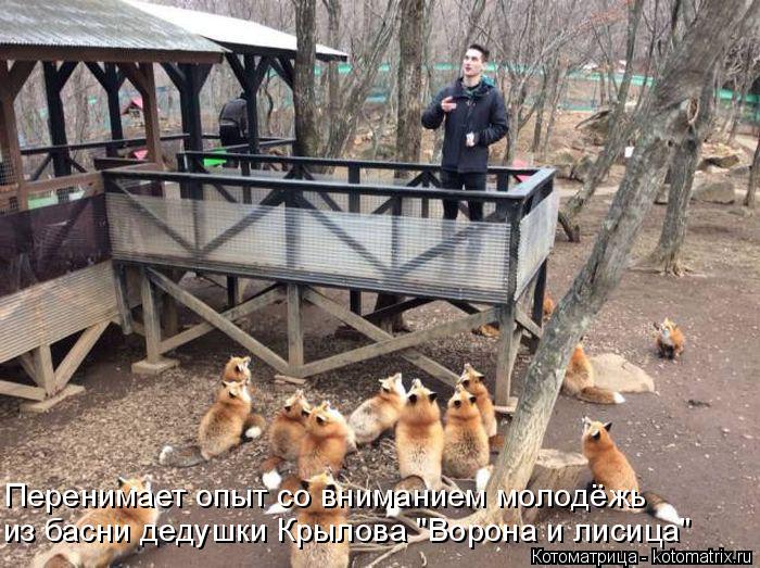 Котоматрица: Перенимает опыт со вниманием молодёжь из басни дедушки Крылова "Ворона и лисица"