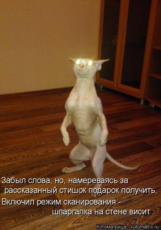 Котоматрица: Забыл слова, но, намереваясь за рассказанный стишок подарок получить, Включил режим сканирования - шпаргалка на стене висит
