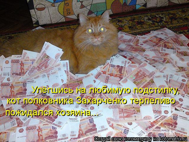 Котоматрица: Улёгшись на любимую подстилку,  кот полковника Захарченко терпеливо  пожидался хозяина...