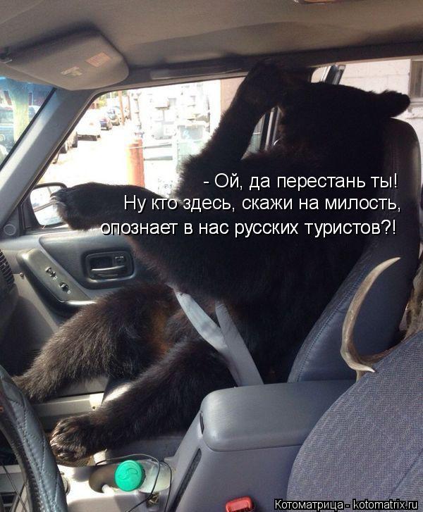 Котоматрица: - Ой, да перестань ты! Ну кто здесь, скажи на милость,  опознает в нас русских туристов?! опознает в нас русских туристов?!