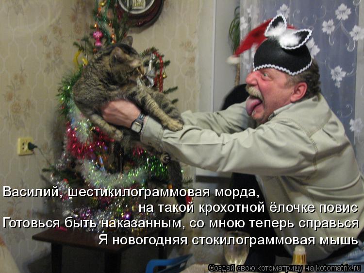 Котоматрица: Василий, шестикилограммовая морда, на такой крохотной ёлочке повис Готовься быть наказанным, со мною теперь справься  Я новогодняя стокило