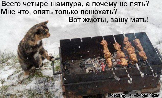 Котоматрица: Всего четыре шампура, а почему не пять? Мне что, опять только понюхать? Вот жмоты, вашу мать!