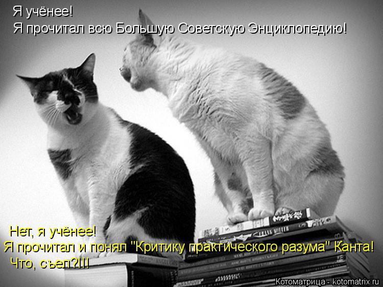 Котоматрица: Я учёнее!  Нет, я учёнее! Я прочитал и понял "Критику практического разума" Канта! Что, съел?!!! Я прочитал всю Большую Советскую Энциклопедию!