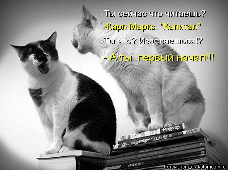 Котоматрица: -Ты сейчас что читаешь? -Карл Маркс. "Капитал" -Ты что? Издеваешься!? - А ты  первый начал!!!