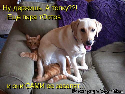 Ну, держишь. А толку??! и они САМИ ее завалят... Еще пара тОстов... Котоматрица: Ну, держишь. А толку??! и они САМИ ее завалят... Еще пара тОстов