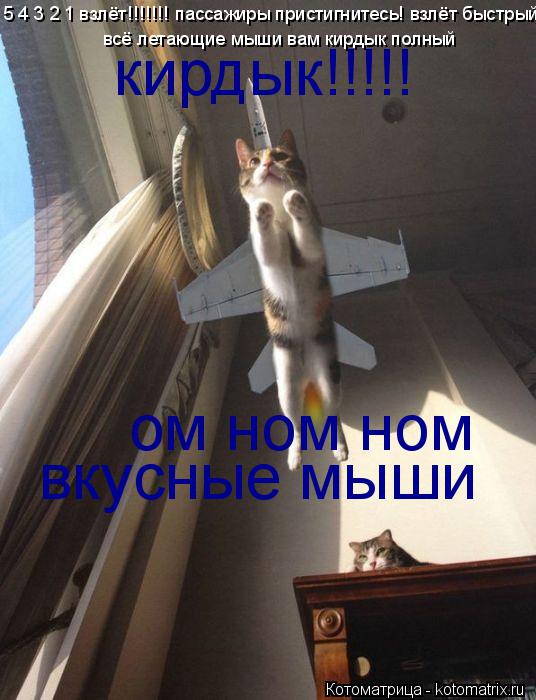 Котоматрица: 5 4 3 2 1 взлёт!!!!!!! пассажиры пристигнитесь! взлёт быстрый всё летающие мыши вам кирдык полный кирдык!!!!! ом ном ном вкусные мыши
