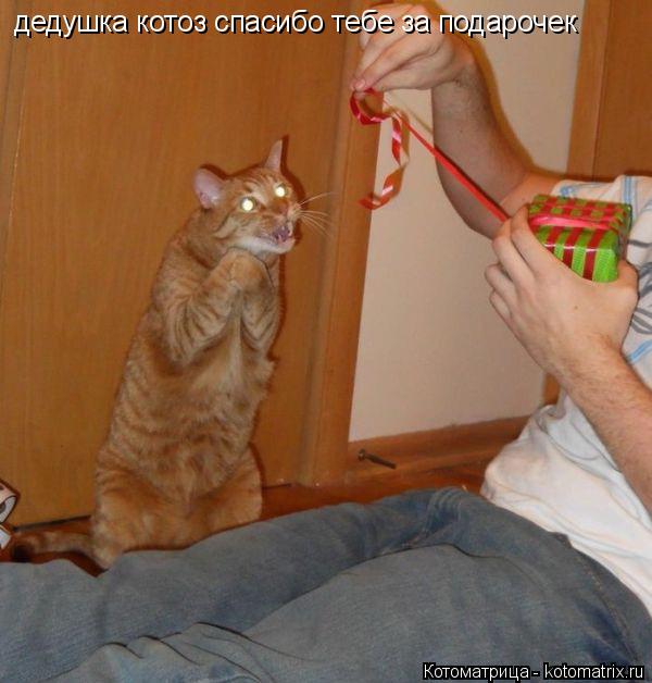 Котоматрица: дедушка котоз спасибо тебе за подарочек
