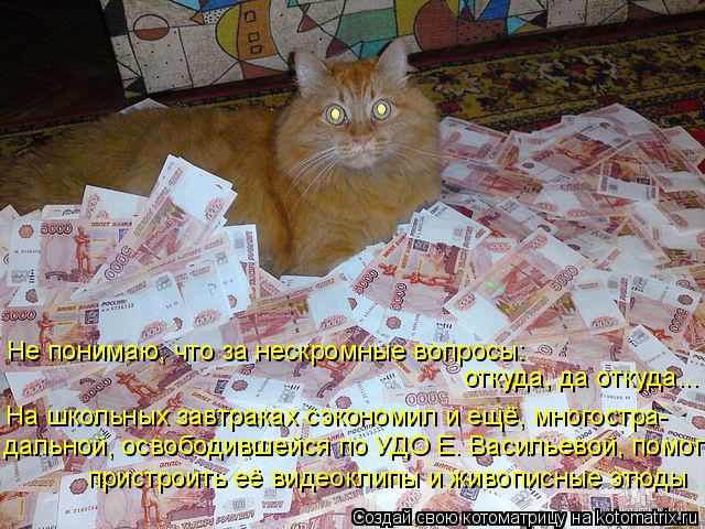 Котоматрица: Не понимаю, что за нескромные вопросы: откуда, да откуда... На школьных завтраках сэкономил и ещё, многостра- дальной, освободившейся по УДО Е