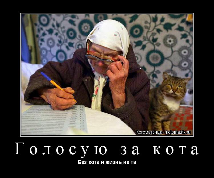Голосую за кота Без кота и жизнь не та... Котоматрица: Голосую за кота Без кота и жизнь не та