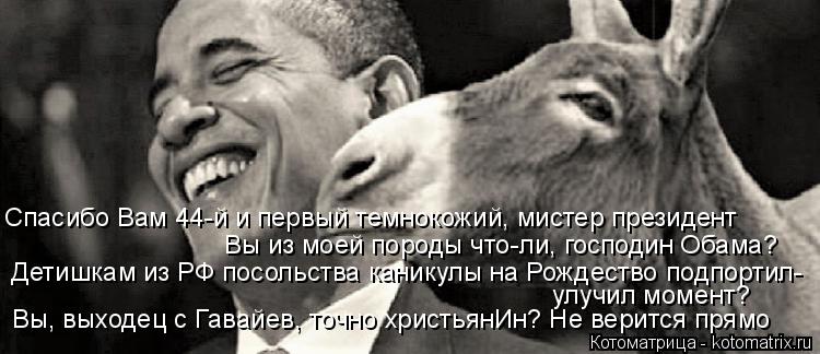 Спасибо Вам 44-й и первый темнокожий, мистер президент Вы, выходец с Гавайев, точно христьянИн? Не ве... Котоматрица: Спасибо Вам 44-й и первый темнокожий, мистер президент Вы, выходец с Гавайев, точно христьянИн? Не верится прямо Детишкам из РФ посольства ка