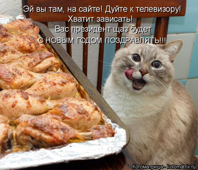 Вас президент щаз будет Эй вы там, на сайте! Дуйте к телевизору! Хватит зависать! С НОВЫМ ГОДОМ ПОЗ... Котоматрица: Вас президент щаз будет Эй вы там, на сайте! Дуйте к телевизору! Хватит зависать! С НОВЫМ ГОДОМ ПОЗДРАВЛЯТЬ!!!