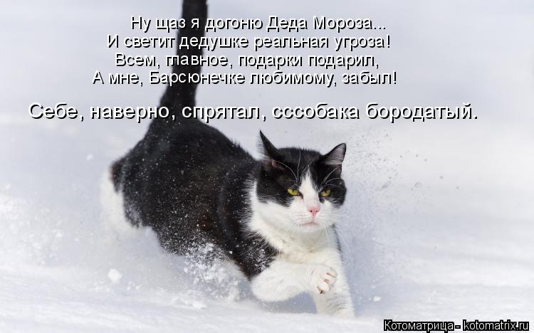 Ну щаз я догоню Деда Мороза... И светит дедушке реальная угроза! Всем, главное, подарки подарил, А мн... Котоматрица: Ну щаз я догоню Деда Мороза... И светит дедушке реальная угроза! Всем, главное, подарки подарил, А мне, Барсюнечке любимому, забыл! Себе, навер