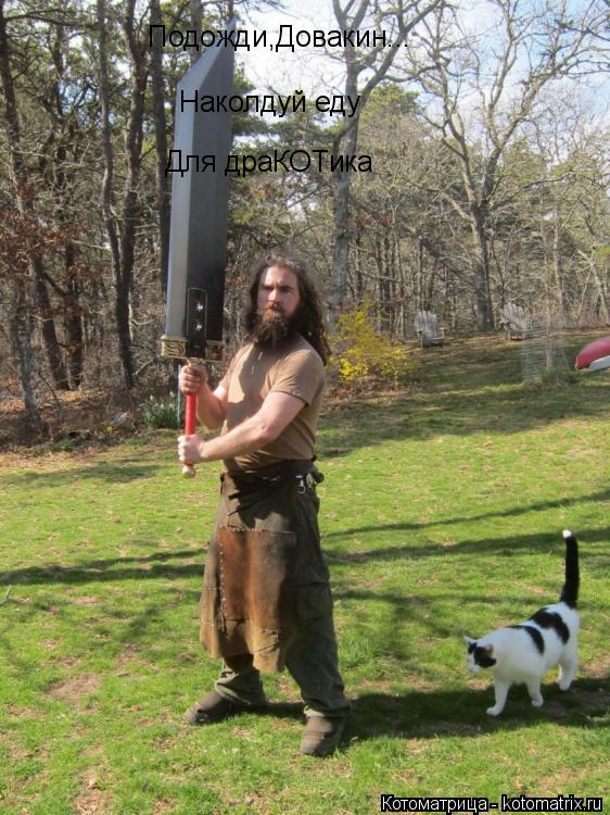 Подожди,Довакин... Наколдуй еду Для драКОТика... Котоматрица: Подожди,Довакин... Наколдуй еду Для драКОТика