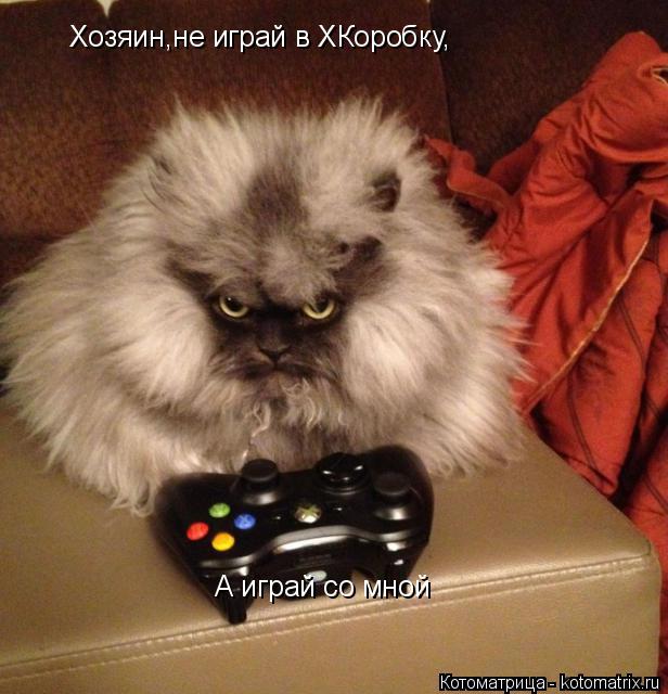Хозяин,не играй в XКоробку, А играй со мной... Котоматрица: Хозяин,не играй в XКоробку, А играй со мной