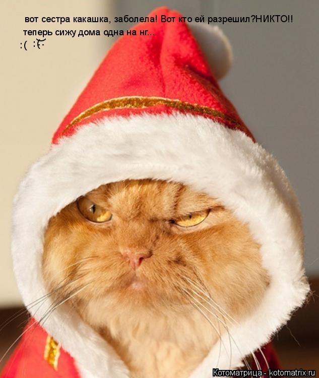 вот сестра какашка, заболела! Вот кто ей разрешил?НИКТО!! теперь сижу дома одна на нг... :( :( :(... Котоматрица: вот сестра какашка, заболела! Вот кто ей разрешил?НИКТО!! теперь сижу дома одна на нг... :( :( :(