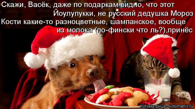 Скажи, Васёк, даже по подаркам видно, что этот Йоулупукки, не русский дедушка Мороз Кости какие-то ра... Котоматрица: Скажи, Васёк, даже по подаркам видно, что этот Йоулупукки, не русский дедушка Мороз Кости какие-то разноцветные, шампанское, вообще из молок