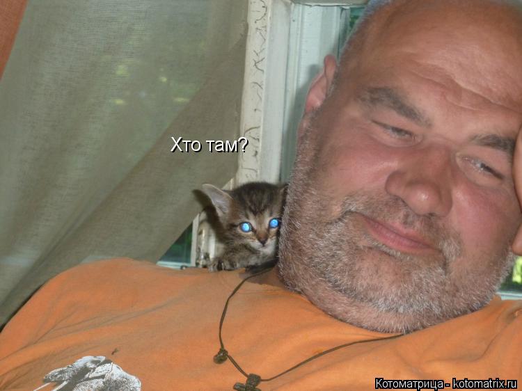 Хто там?... Котоматрица: Хто там?
