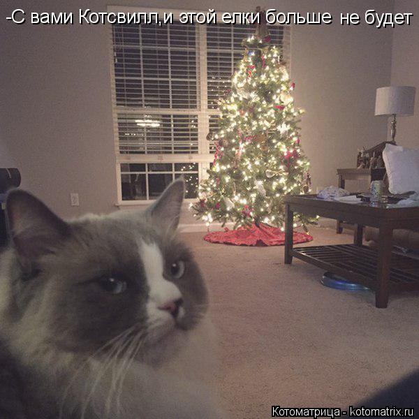 -C вами Котсвилл,и этой елки больше не будет... Котоматрица: -C вами Котсвилл,и этой елки больше не будет