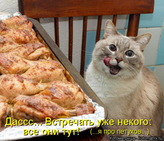 Дассс... Встречать уже некого: все они тут! (...я про петухов...)... Котоматрица: Дассс... Встречать уже некого: все они тут! (...я про петухов...)