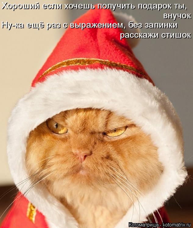 Хороший если хочешь получить подарок ты, внучок Ну-ка ещё раз с выражением, без запинки расскажи стиш... Котоматрица: Хороший если хочешь получить подарок ты, внучок Ну-ка ещё раз с выражением, без запинки расскажи стишок